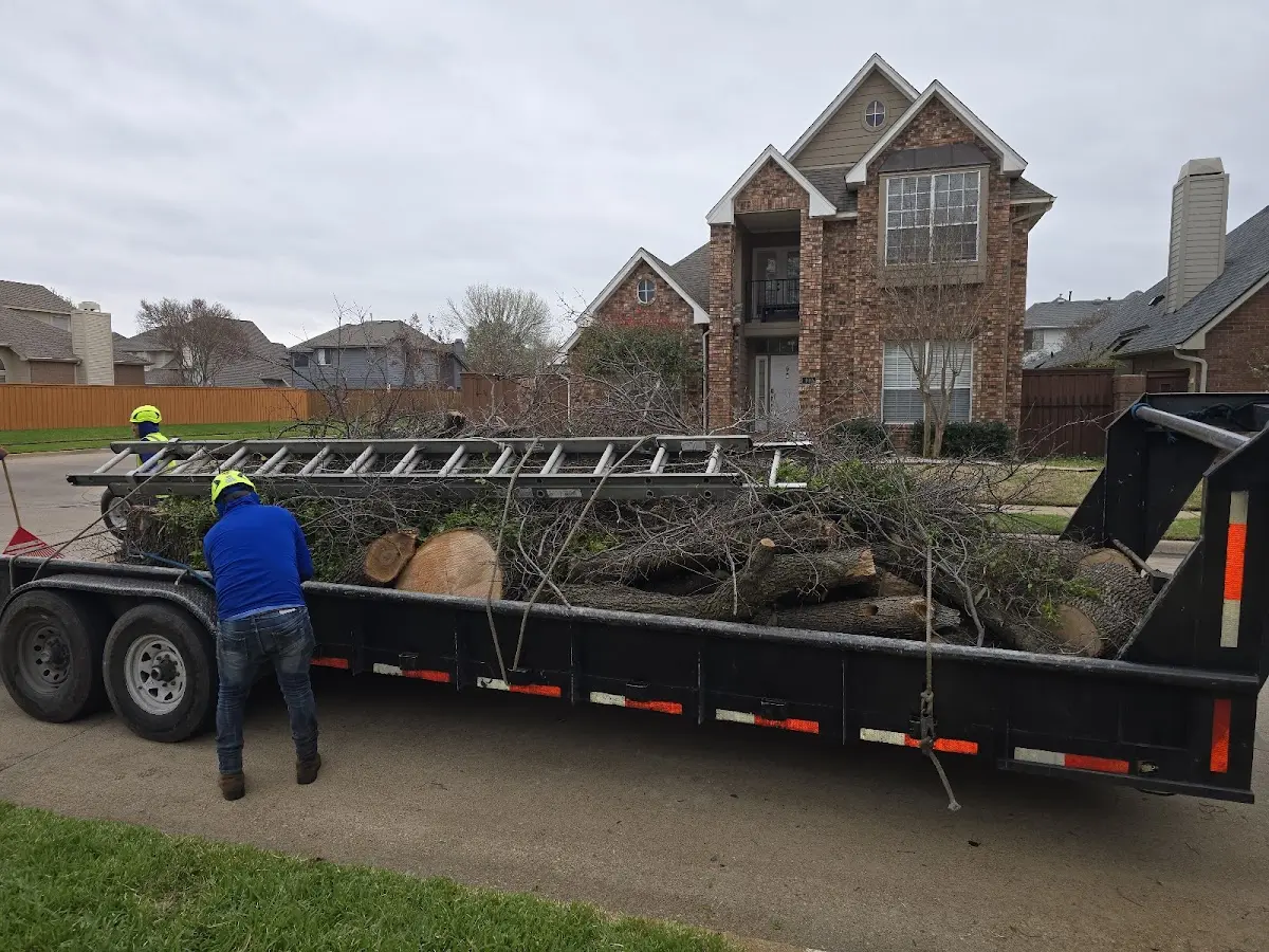 Expert Crown Reduction with proper safety equipment in Magnolia